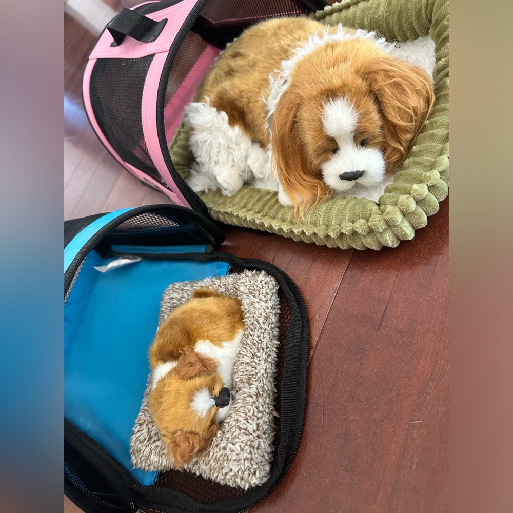 Perfect Petzzz Cavalier King Charles Original AND mini with carrier totes